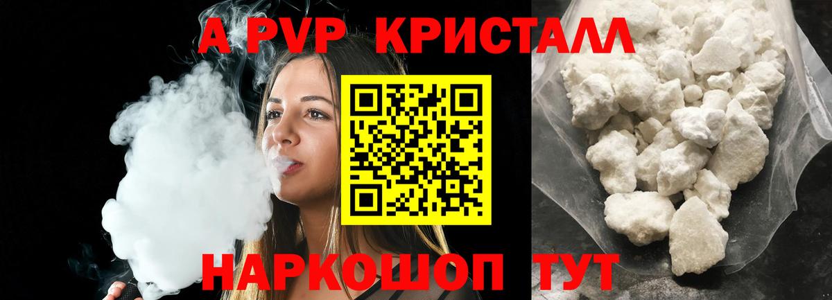 Alfa_PVP СК КРИС Майкоп