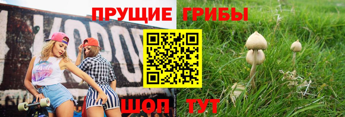 Галлюциногенные грибы ЛСД  Вход с VPN  Майкоп 